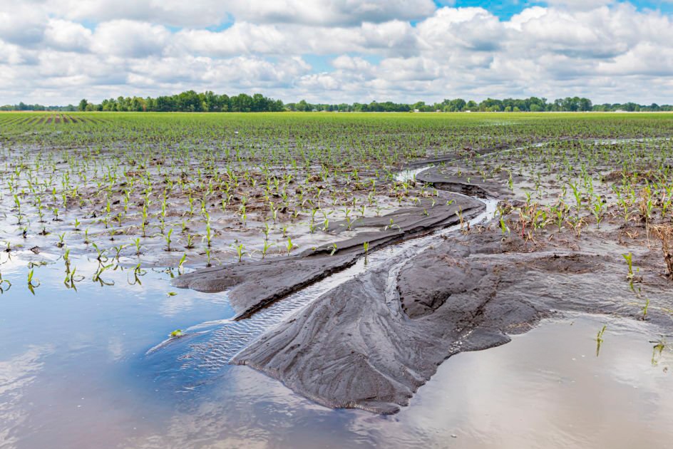 Provincia otorga beneficios impositivos a campos de distritos afectados por eventos climáticos